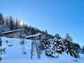 Splendide chalet 6 pièces, jacuzzi et sauna, proche pistes à La Plagne Montalbert - FR-1-755-24